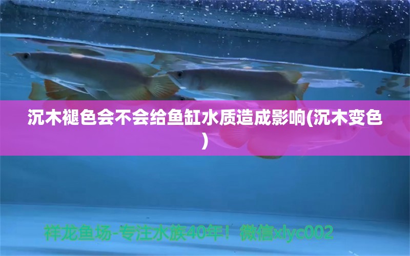 沉木褪色會不會給魚缸水質造成影響(沉木變色) 斑馬鴨嘴魚