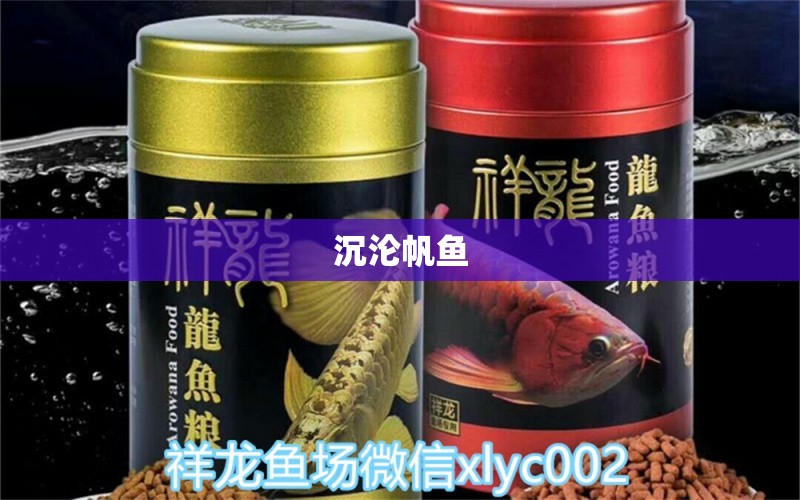 沉淪帆魚 觀賞魚