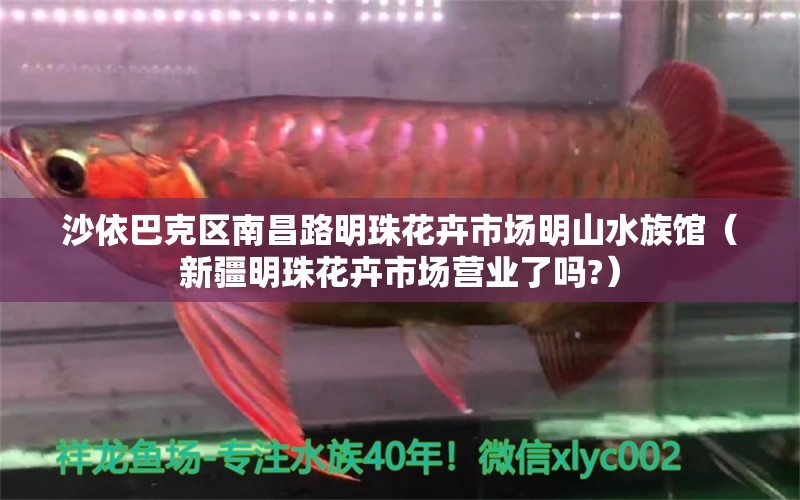 沙依巴克區(qū)南昌路明珠花卉市場明山水族館（新疆明珠花卉市場營業(yè)了嗎?） 全國水族館企業(yè)名錄