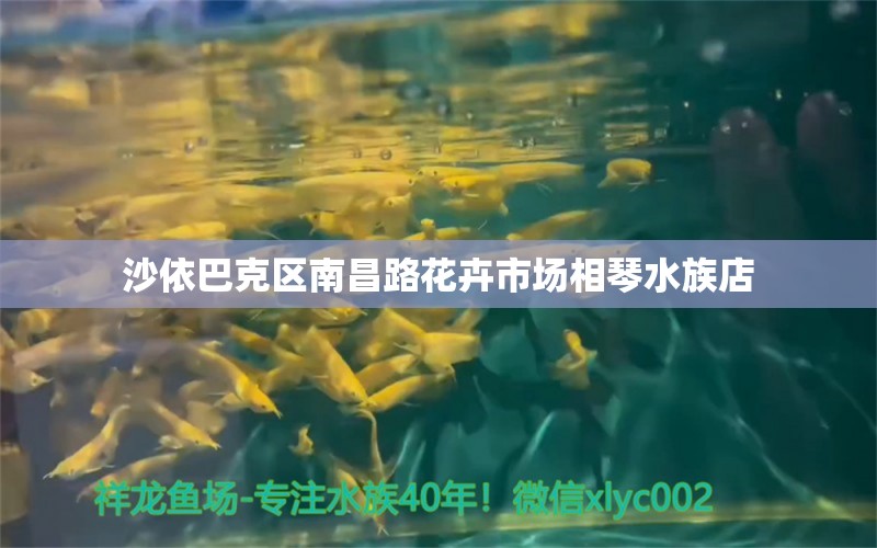 沙依巴克區(qū)南昌路花卉市場(chǎng)相琴水族店 全國(guó)水族館企業(yè)名錄