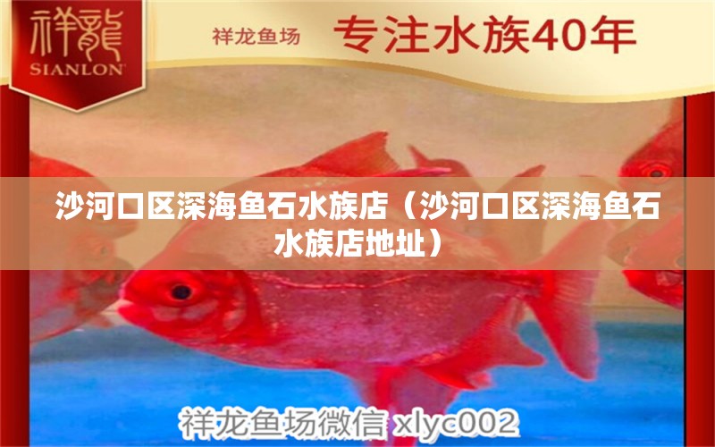 沙河口區(qū)深海魚石水族店（沙河口區(qū)深海魚石水族店地址）