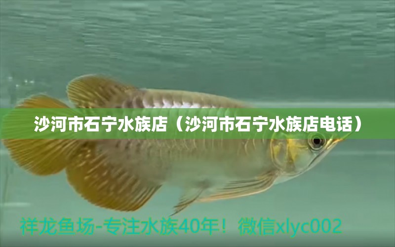 沙河市石寧水族店（沙河市石寧水族店電話） 全國水族館企業(yè)名錄