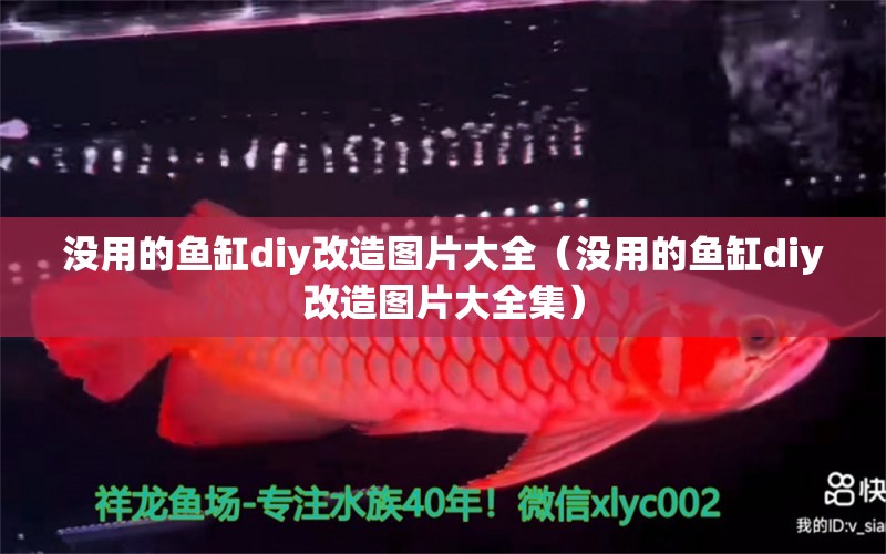 沒用的魚缸diy改造圖片大全（沒用的魚缸diy改造圖片大全集） 白子黃化銀龍魚