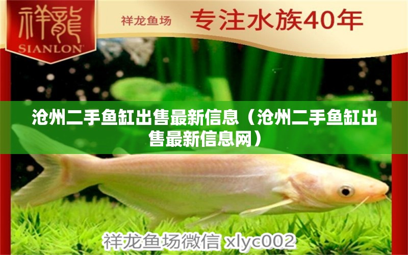 滄州二手魚缸出售最新信息（滄州二手魚缸出售最新信息網(wǎng)） 福魟魟魚