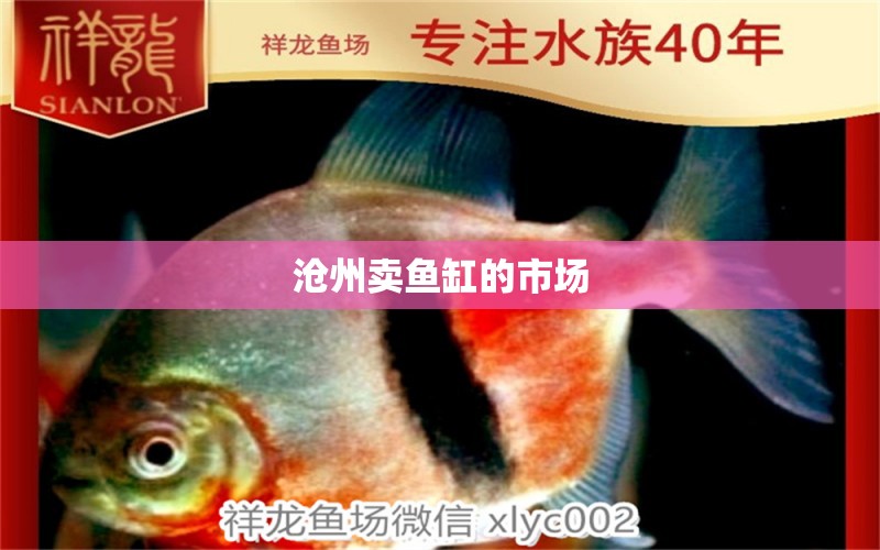 滄州賣魚缸的市場 其他品牌魚缸