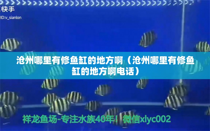 滄州哪里有修魚缸的地方?。嬷菽睦镉行摁~缸的地方啊電話）