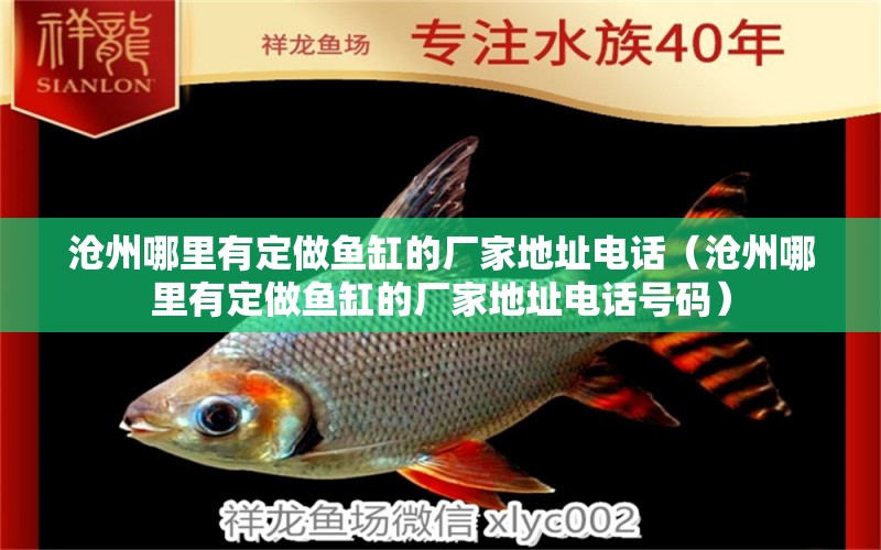 滄州哪里有定做魚缸的廠家地址電話（滄州哪里有定做魚缸的廠家地址電話號(hào)碼） 豬鼻龜