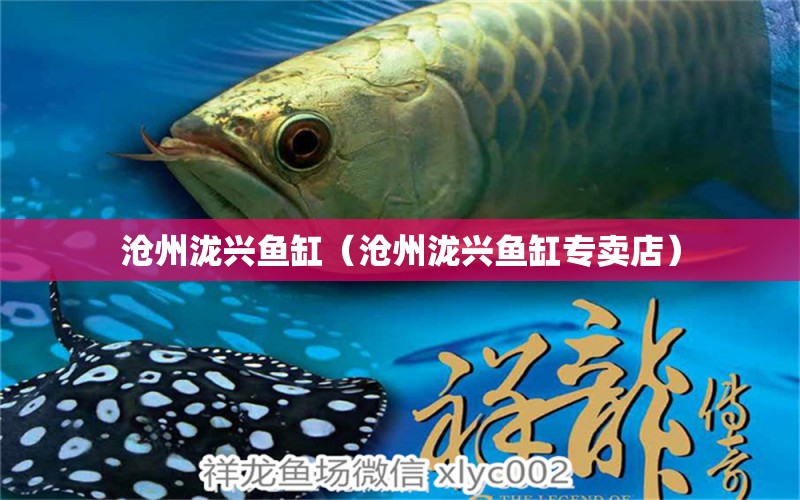 滄州瀧興魚缸（滄州瀧興魚缸專賣店）