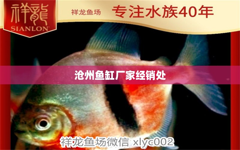 滄州魚(yú)缸廠家經(jīng)銷(xiāo)處 其他品牌魚(yú)缸