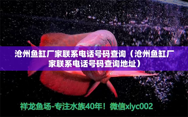 滄州魚缸廠家聯(lián)系電話號碼查詢（滄州魚缸廠家聯(lián)系電話號碼查詢地址）