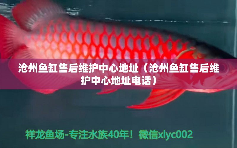 滄州魚(yú)缸售后維護(hù)中心地址（滄州魚(yú)缸售后維護(hù)中心地址電話）