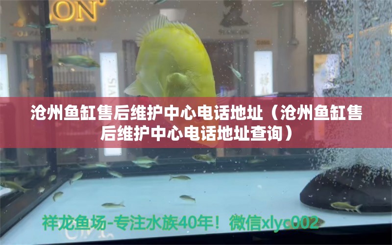 滄州魚缸售后維護中心電話地址（滄州魚缸售后維護中心電話地址查詢） 其他品牌魚缸