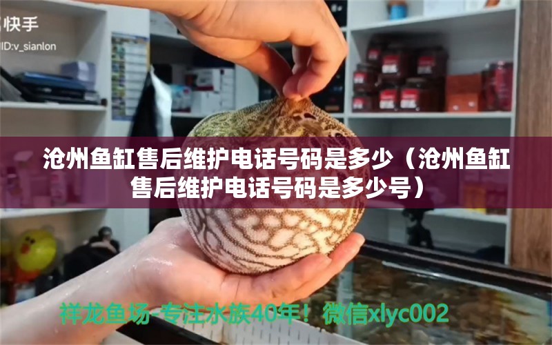 滄州魚缸售后維護(hù)電話號碼是多少（滄州魚缸售后維護(hù)電話號碼是多少號） 其他品牌魚缸