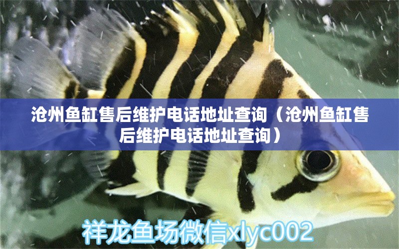 滄州魚(yú)缸售后維護(hù)電話地址查詢（滄州魚(yú)缸售后維護(hù)電話地址查詢）