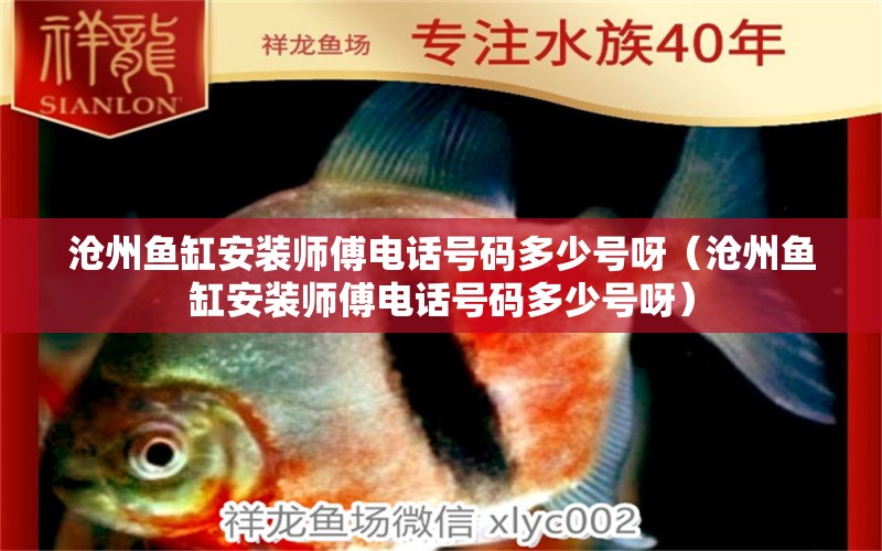 滄州魚(yú)缸安裝師傅電話號(hào)碼多少號(hào)呀（滄州魚(yú)缸安裝師傅電話號(hào)碼多少號(hào)呀）