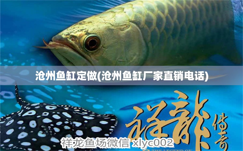 滄州魚缸定做(滄州魚缸廠家直銷電話)