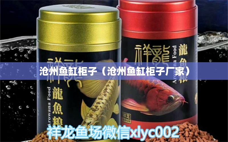 滄州魚(yú)缸柜子（滄州魚(yú)缸柜子廠家） 紅龍福龍魚(yú)