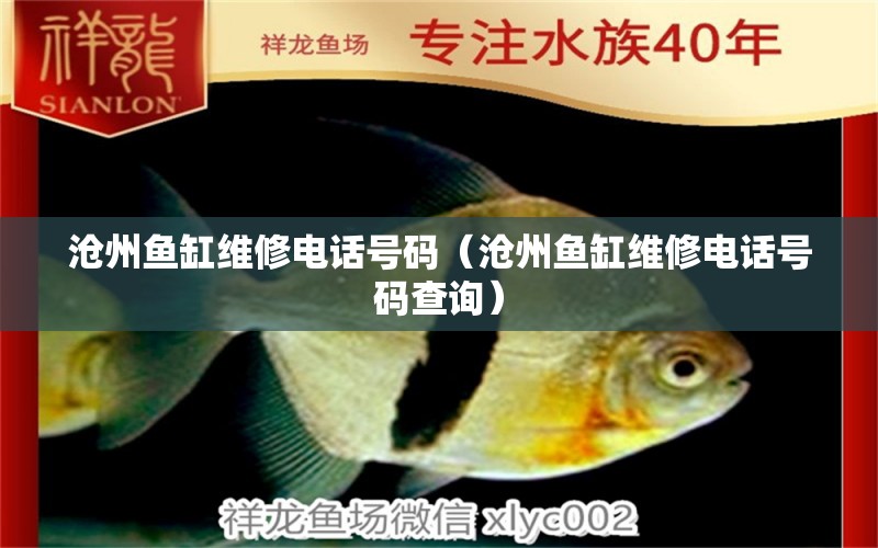 滄州魚(yú)缸維修電話號(hào)碼（滄州魚(yú)缸維修電話號(hào)碼查詢(xún)） 其他品牌魚(yú)缸