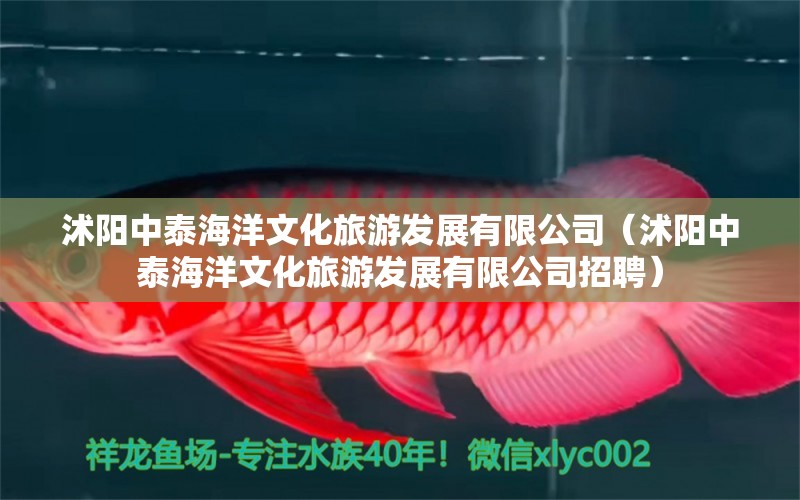 沭陽中泰海洋文化旅游發(fā)展有限公司（沭陽中泰海洋文化旅游發(fā)展有限公司招聘） 全國水族館企業(yè)名錄