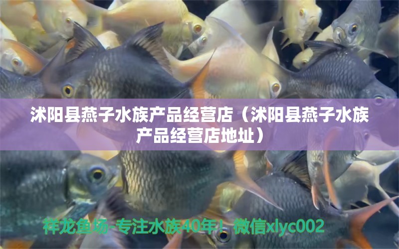 沭陽(yáng)縣燕子水族產(chǎn)品經(jīng)營(yíng)店（沭陽(yáng)縣燕子水族產(chǎn)品經(jīng)營(yíng)店地址） 全國(guó)水族館企業(yè)名錄