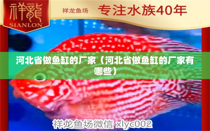 河北省做魚缸的廠家（河北省做魚缸的廠家有哪些）