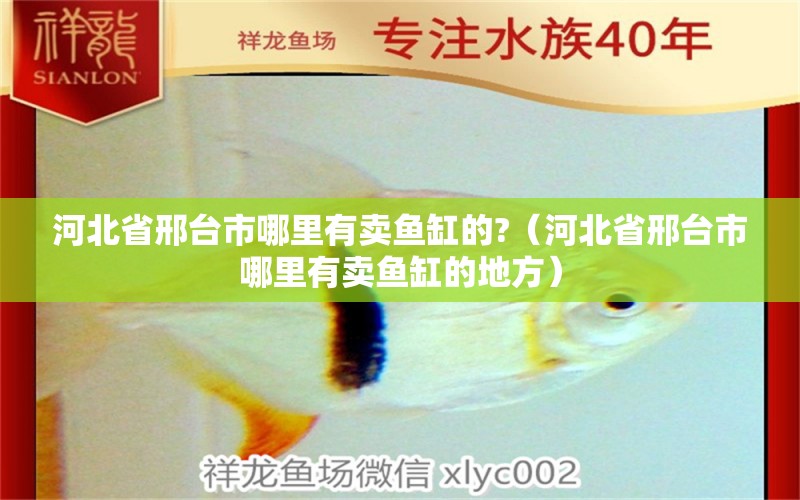 河北省邢臺(tái)市哪里有賣魚缸的?（河北省邢臺(tái)市哪里有賣魚缸的地方） 其他品牌魚缸