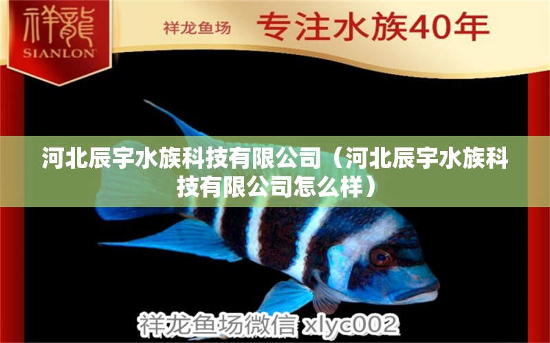 河北辰宇水族科技有限公司（河北辰宇水族科技有限公司怎么樣） 全國水族館企業(yè)名錄