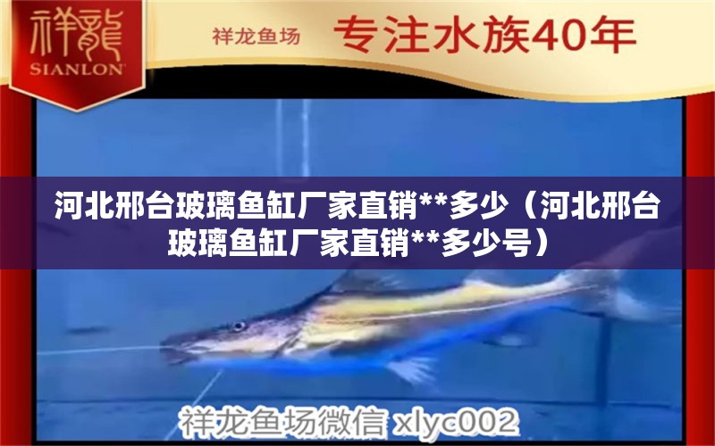 河北邢臺(tái)玻璃魚缸廠家直銷**多少（河北邢臺(tái)玻璃魚缸廠家直銷**多少號(hào)）