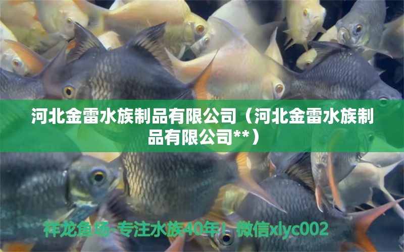 河北金雷水族制品有限公司（河北金雷水族制品有限公司**） 全國水族館企業(yè)名錄