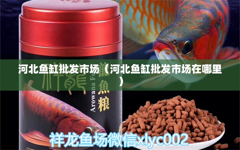 河北魚缸批發(fā)市場（河北魚缸批發(fā)市場在哪里） 其他品牌魚缸