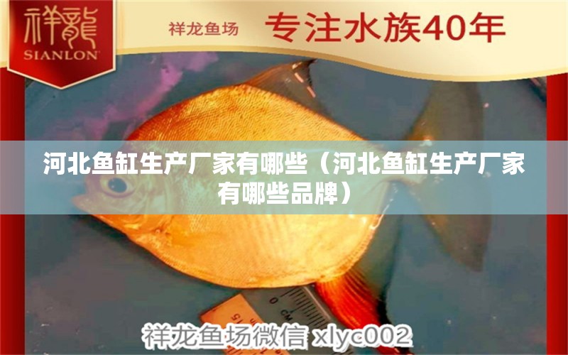 河北魚缸生產(chǎn)廠家有哪些（河北魚缸生產(chǎn)廠家有哪些品牌）