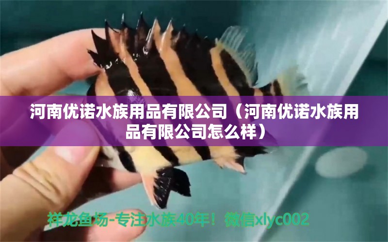 河南優(yōu)諾水族用品有限公司（河南優(yōu)諾水族用品有限公司怎么樣） 水族用品