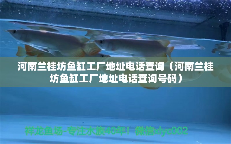 河南蘭桂坊魚缸工廠地址電話查詢（河南蘭桂坊魚缸工廠地址電話查詢號碼） 觀賞魚市場（混養(yǎng)魚）