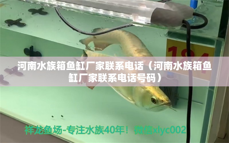 河南水族箱魚(yú)缸廠家聯(lián)系電話（河南水族箱魚(yú)缸廠家聯(lián)系電話號(hào)碼）