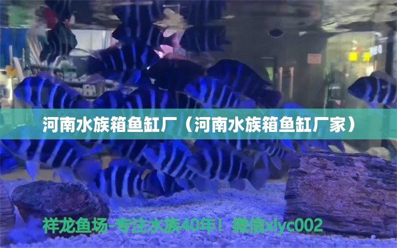 河南水族箱魚(yú)缸廠（河南水族箱魚(yú)缸廠家）