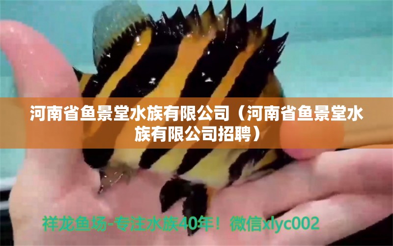 河南省魚景堂水族有限公司（河南省魚景堂水族有限公司招聘）