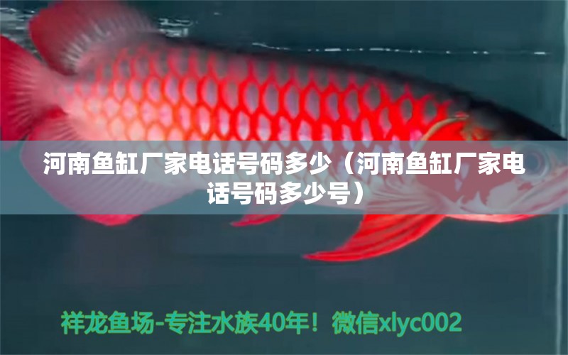 河南魚缸廠家電話號碼多少（河南魚缸廠家電話號碼多少號）