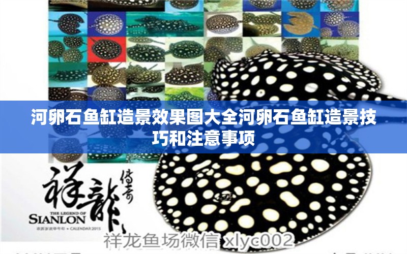 河卵石魚缸造景效果圖大全河卵石魚缸造景技巧和注意事項(xiàng) 觀賞魚 第1張