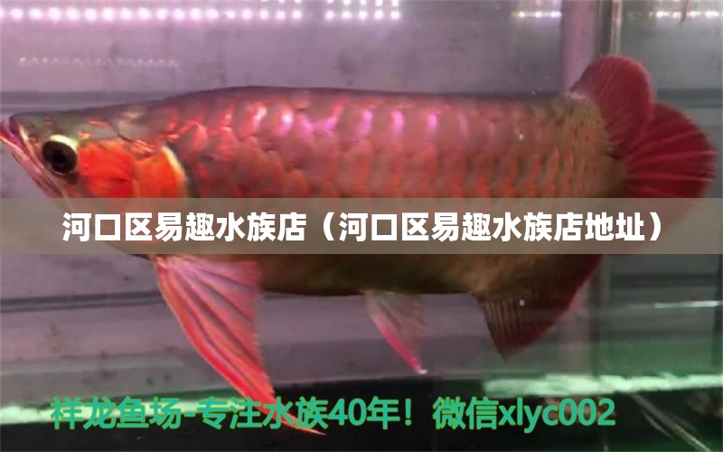 河口區(qū)易趣水族店（河口區(qū)易趣水族店地址） 全國水族館企業(yè)名錄