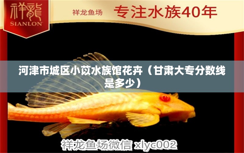 河津市城區(qū)小苡水族館花卉（甘肅大專分?jǐn)?shù)線是多少）