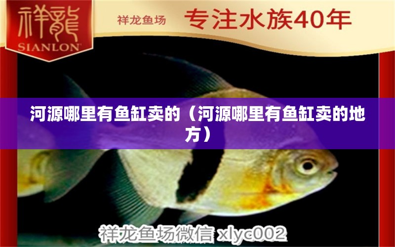 河源哪里有魚(yú)缸賣(mài)的（河源哪里有魚(yú)缸賣(mài)的地方）