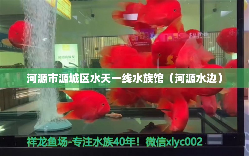 河源市源城區(qū)水天一線水族館（河源水邊） 全國(guó)水族館企業(yè)名錄