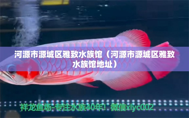 河源市源城區(qū)雅致水族館（河源市源城區(qū)雅致水族館地址） 全國(guó)水族館企業(yè)名錄