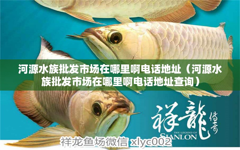 河源水族批發(fā)市場在哪里啊電話地址（河源水族批發(fā)市場在哪里啊電話地址查詢） 觀賞魚水族批發(fā)市場