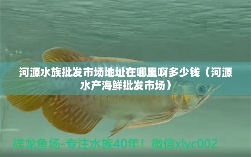 河源水族批發(fā)市場地址在哪里啊多少錢（河源水產(chǎn)海鮮批發(fā)市場）