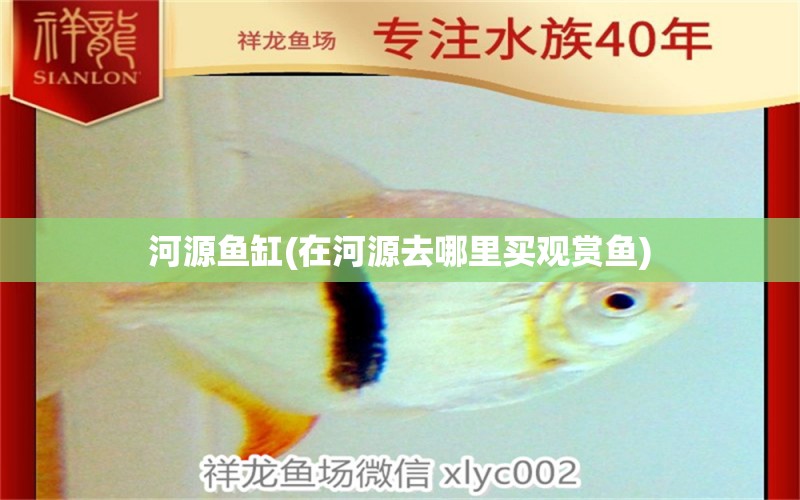 河源魚缸(在河源去哪里買觀賞魚)