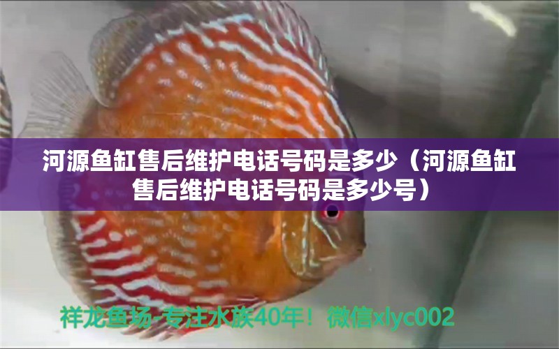 河源魚缸售后維護(hù)電話號(hào)碼是多少（河源魚缸售后維護(hù)電話號(hào)碼是多少號(hào)）