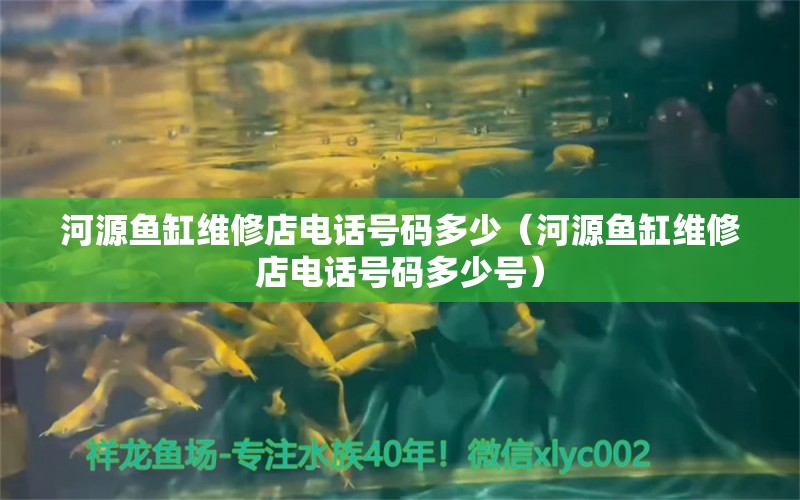 河源魚缸維修店電話號碼多少（河源魚缸維修店電話號碼多少號） 祥龍水族醫(yī)院