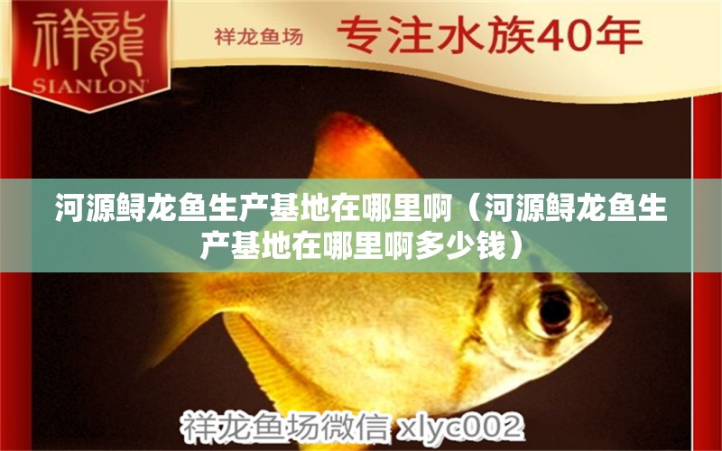 河源鱘龍魚生產(chǎn)基地在哪里?。ê釉戴\龍魚生產(chǎn)基地在哪里啊多少錢） 觀賞魚市場（混養(yǎng)魚）