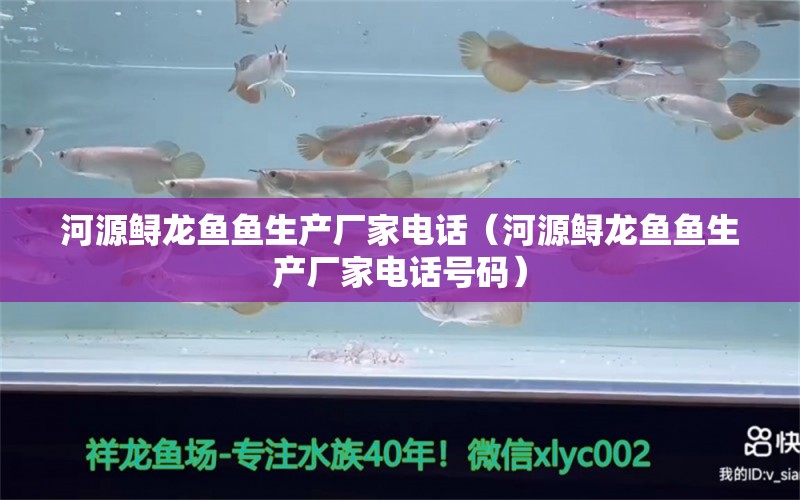 河源鱘龍魚(yú)魚(yú)生產(chǎn)廠家電話（河源鱘龍魚(yú)魚(yú)生產(chǎn)廠家電話號(hào)碼） 祥龍水族醫(yī)院